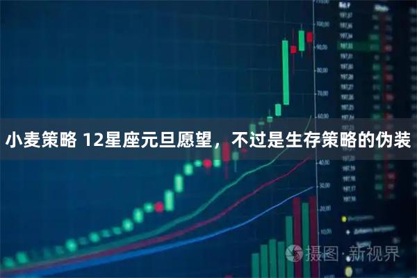 小麦策略 12星座元旦愿望，不过是生存策略的伪装