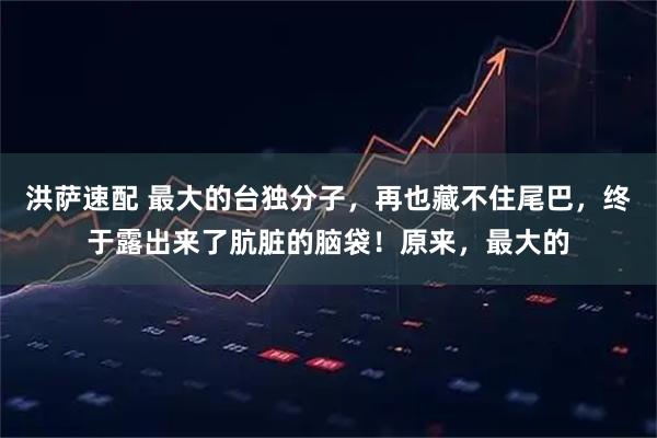 洪萨速配 最大的台独分子,再也藏不住尾巴,终于露出来了肮脏的脑袋!原来,最大的