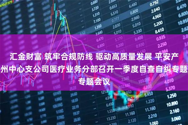 汇金财富 筑牢合规防线 驱动高质量发展 平安产险郑州中心支公司医疗业务分部召开一季度自查自纠专题会议