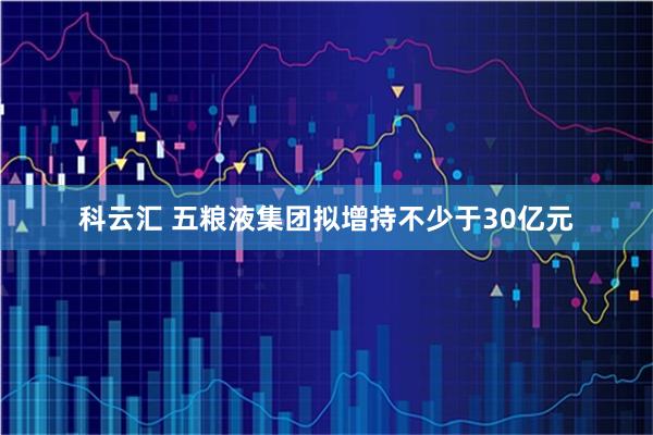科云汇 五粮液集团拟增持不少于30亿元